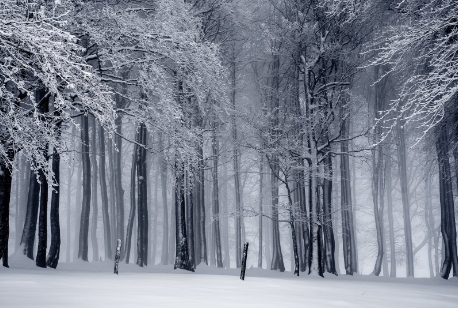 GA黄金甲-2026世界杯48强名单：全球狂欢的新格局